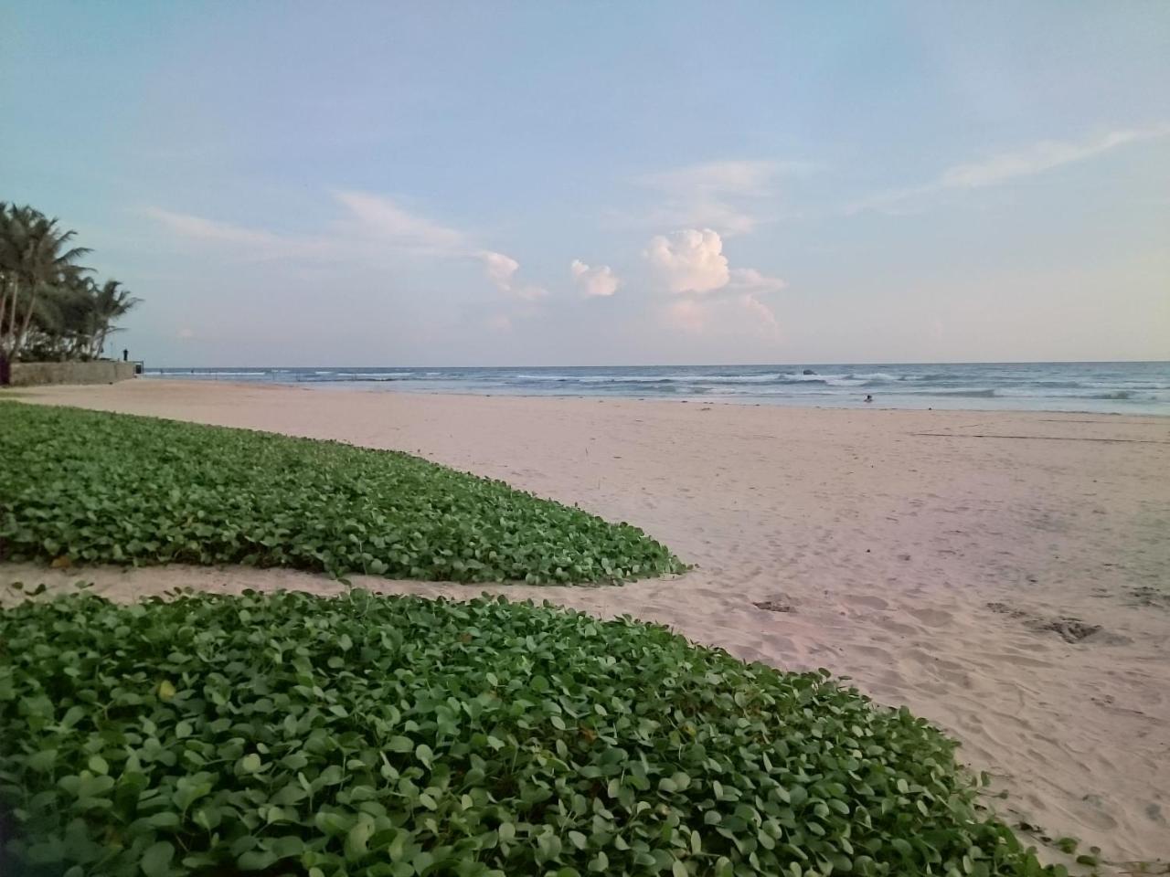 Sun And Surf Rest 호텔 아항가마 외부 사진